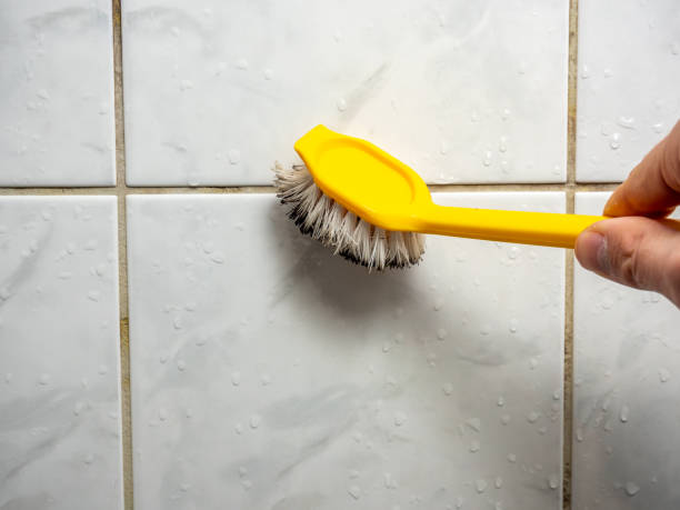Best Mold Removal Near Me  in Glenn Heights, TX
