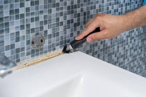 Best Local Mold Removal Service  in Glenn Heights, TX
